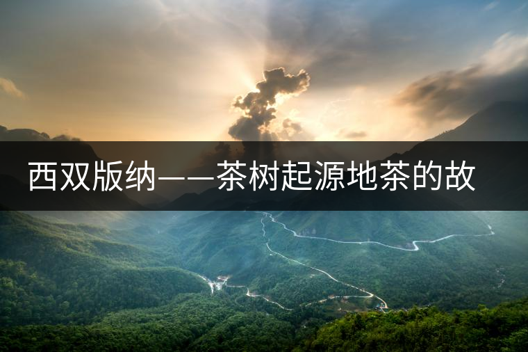 西雙版納——茶樹(shù)起源地茶的故鄉(xiāng)、云茶之源