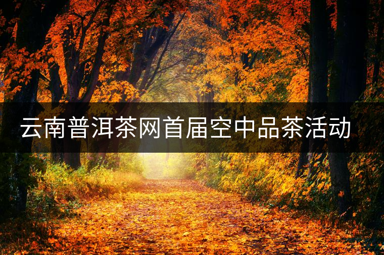 云南普洱茶網(wǎng)首屆空中品茶活動(dòng)交流情況匯報(bào)