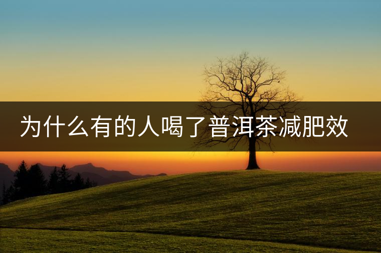 為什么有的人喝了普洱茶減肥效果不明顯呢？