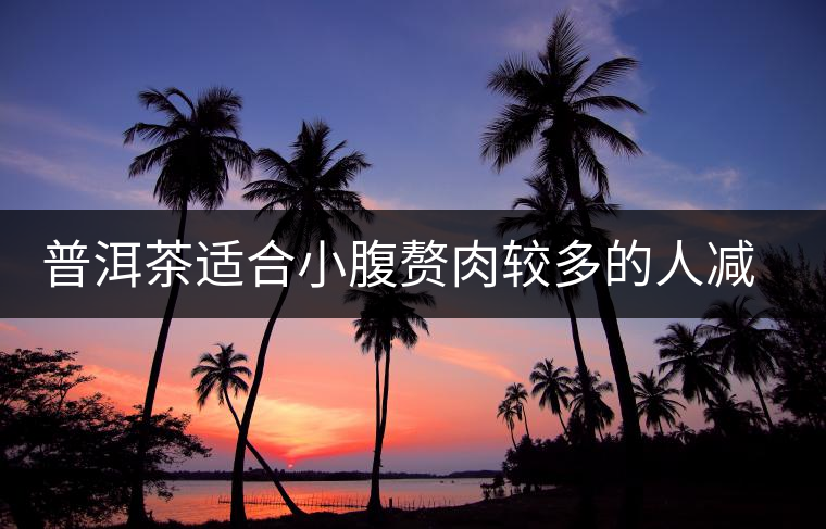 普洱茶適合小腹贅肉較多的人減肥 普洱茶適合小腹贅肉較多的人減肥