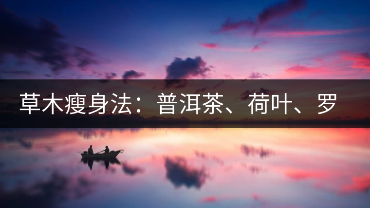草木瘦身法：普洱茶、荷葉、羅漢果