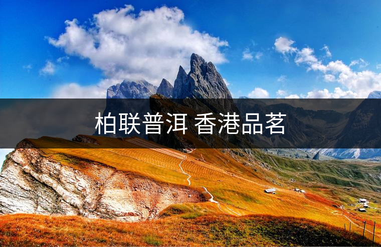 柏聯(lián)普洱 香港品茗 柏聯(lián)普洱 香港品茗