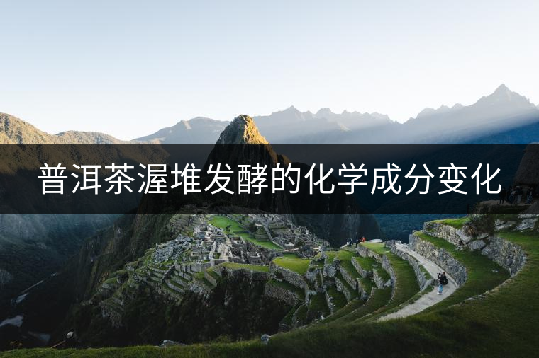 普洱茶渥堆發(fā)酵的化學成分變化 普洱茶渥堆發(fā)酵的化學成分變化