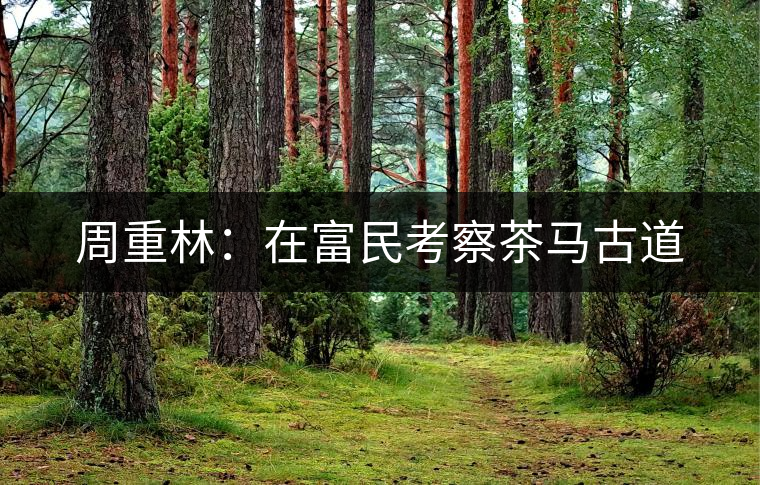 周重林：在富民考察茶馬古道