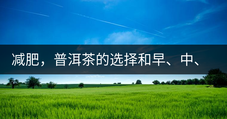 減肥，普洱茶的選擇和早、中、晚的喝法