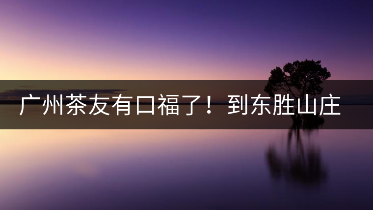 廣州茶友有口福了！到東勝山莊吃“普洱雞”去——