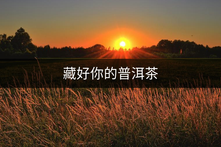 藏好你的普洱茶