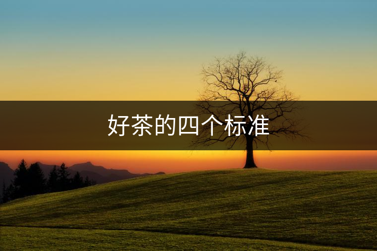好茶的四個標準 好茶的四個標準