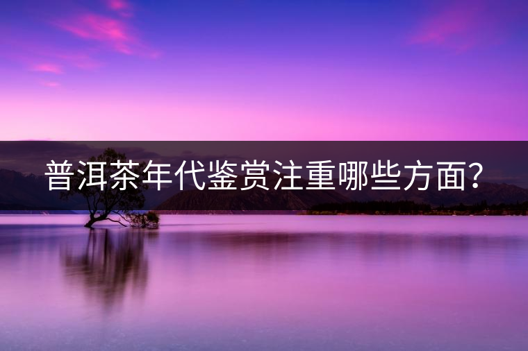 普洱茶年代鑒賞注重哪些方面？
