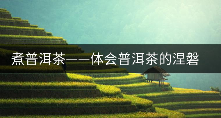 煮普洱茶——體會普洱茶的涅磐重生