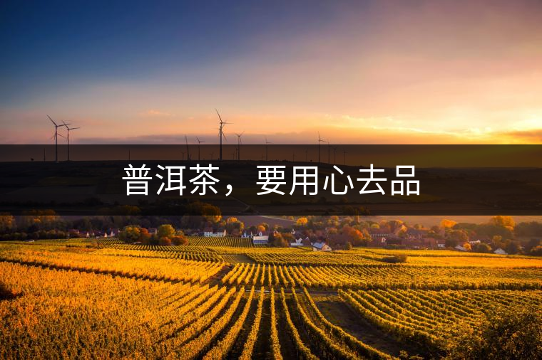 普洱茶，要用心去品