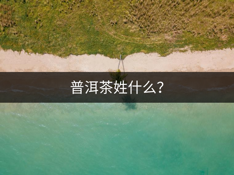 普洱茶姓什么？