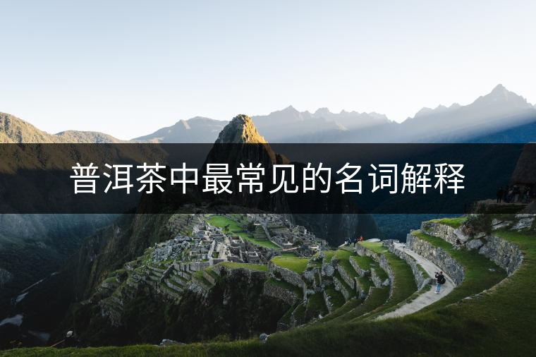 普洱茶中最常見的名詞解釋