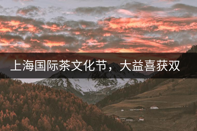 上海國(guó)際茶文化節(jié)，大益喜獲雙獎(jiǎng)