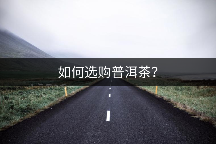 如何選購普洱茶？