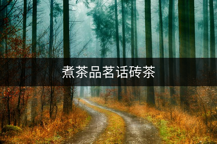 煮茶品茗話磚茶