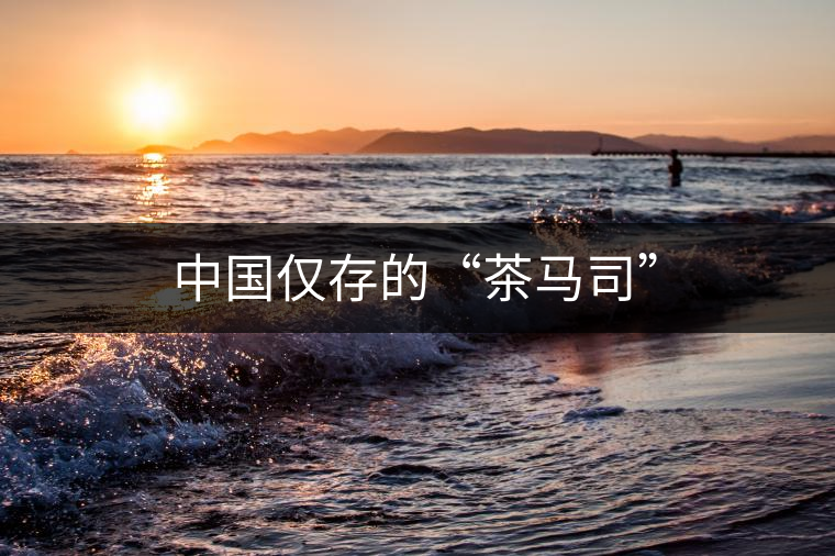 中國(guó)僅存的“茶馬司” 中國(guó)僅存的“茶馬司”