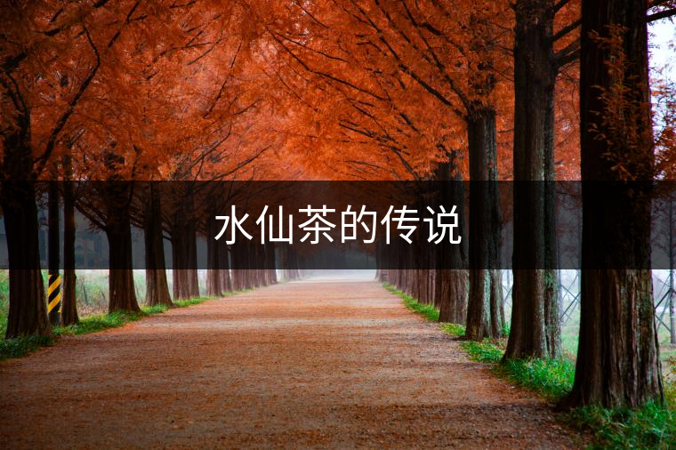 水仙茶的傳說(shuō)
