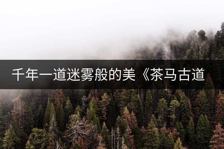 千年一道迷霧般的美《茶馬古道德拉姆》 千年一道迷霧般的美《茶馬古道德拉姆》