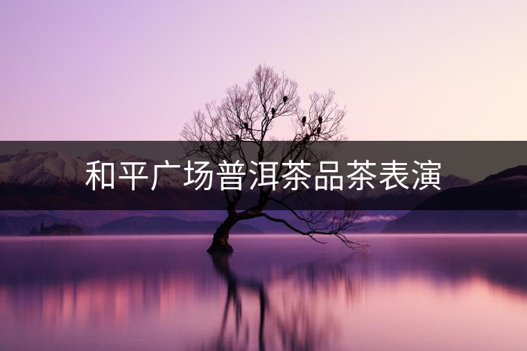 和平廣場(chǎng)普洱茶品茶表演 和平廣場(chǎng)普洱茶品茶表演