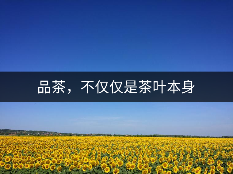 品茶，不僅僅是茶葉本身