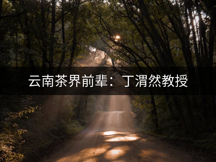 云南茶界前輩:丁渭然教授 云南茶界前輩:丁渭然教授