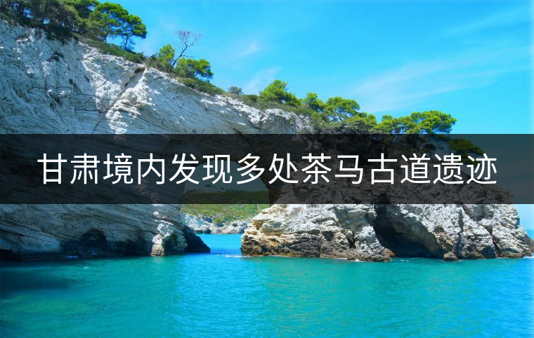 甘肅境內(nèi)發(fā)現(xiàn)多處茶馬古道遺跡