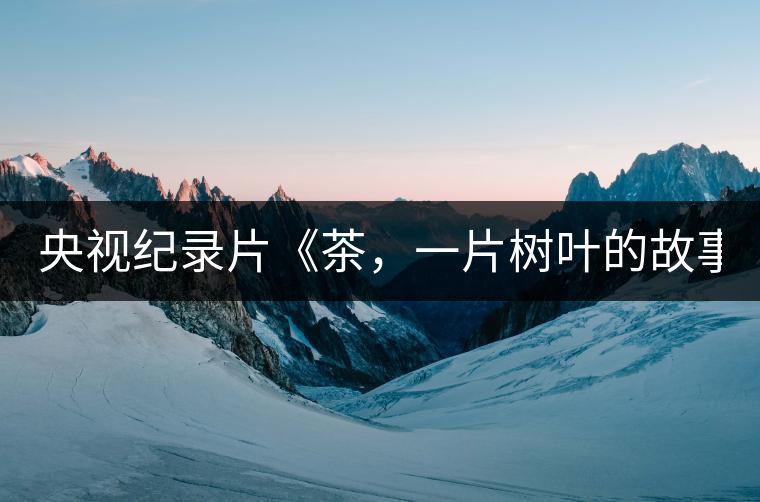 央視紀錄片《茶，一片樹葉的故事》紀錄片 昨晚開播