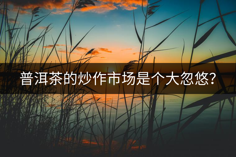 普洱茶的炒作市場是個(gè)大忽悠? 普洱茶的炒作市場是個(gè)大忽悠?