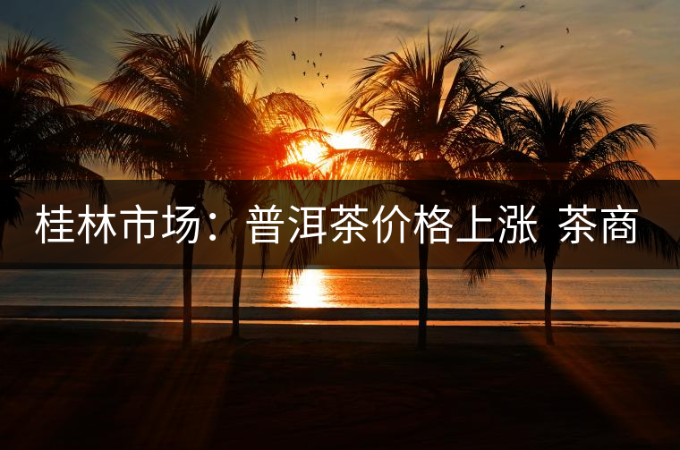 桂林市場：普洱茶價格上漲  茶商茶友不敢“出手”