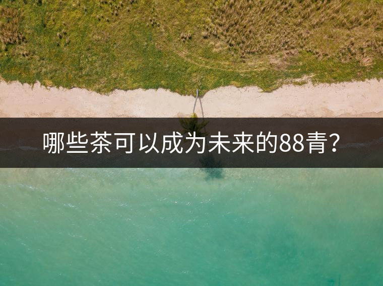 哪些茶可以成為未來的88青？
