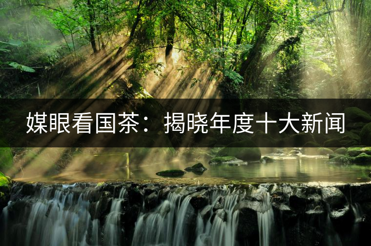 媒眼看國茶：揭曉年度十大新聞