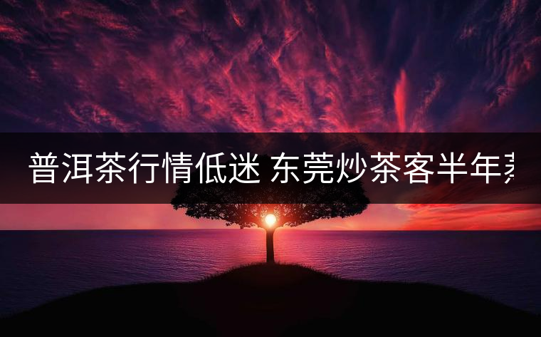 普洱茶行情低迷 東莞炒茶客半年蒸發(fā)370萬(wàn)元 普洱茶行情低迷 東莞炒茶客半年蒸發(fā)370萬(wàn)元