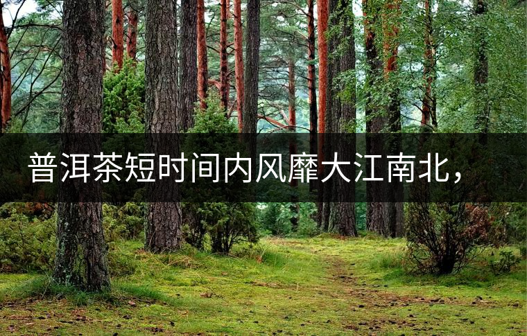 普洱茶短時間內(nèi)風(fēng)靡大江南北，總有一個理由吧？