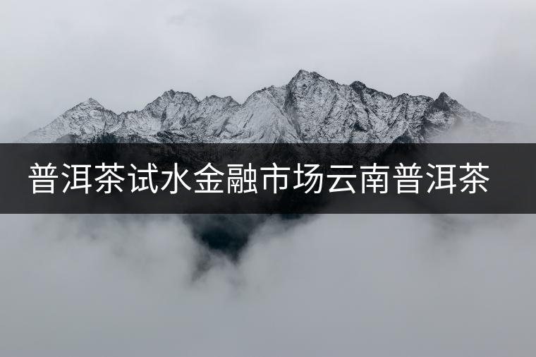 普洱茶試水金融市場(chǎng)云南普洱茶企在北京國際版權(quán)交易中心掛牌上市 普洱茶試水金融市場(chǎng)云南普洱茶企在北京國際版權(quán)交易中心掛牌上市