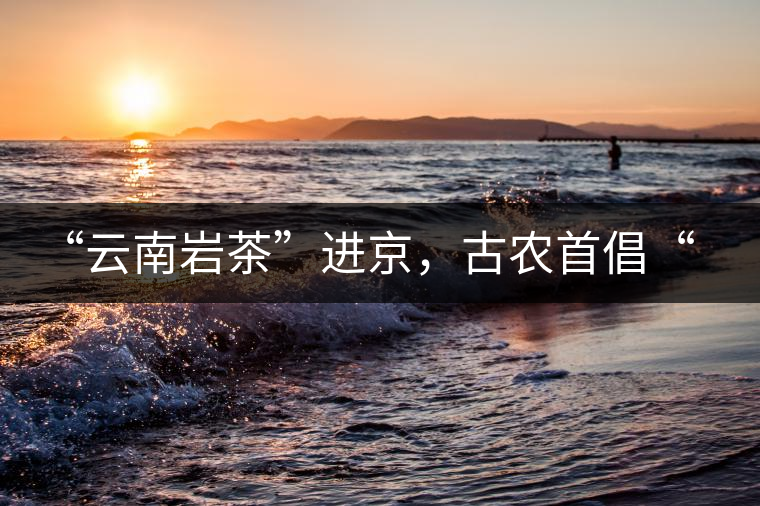 “云南巖茶”進(jìn)京，古農(nóng)首倡“名茶+名企”戰(zhàn)略