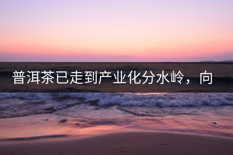 普洱茶已走到產(chǎn)業(yè)化分水嶺，向左還是向右？