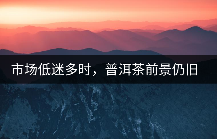 市場低迷多時，普洱茶前景仍舊被大佬們看好