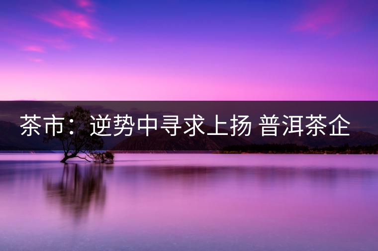 茶市：逆勢(shì)中尋求上揚(yáng) 普洱茶企靠什么打贏這場(chǎng)翻身仗？