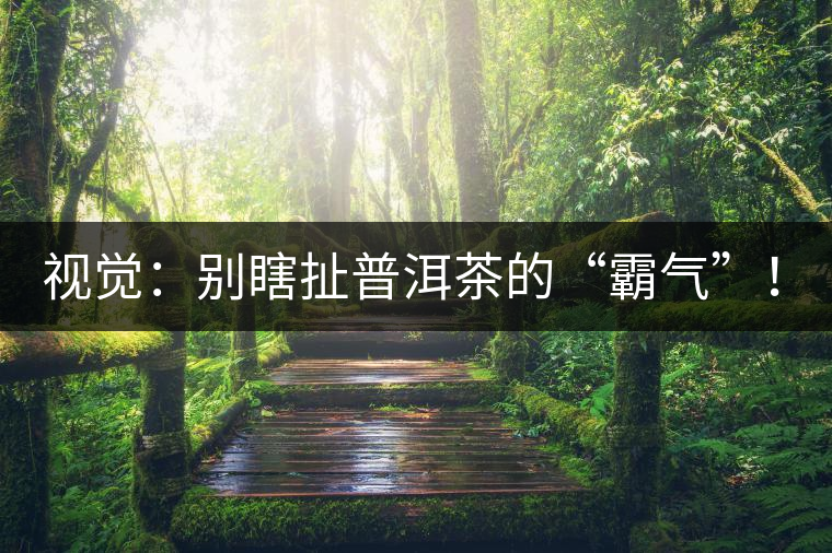 視覺：別瞎扯普洱茶的“霸氣”！偽大師！