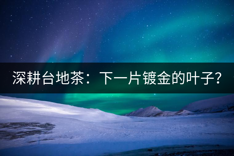 深耕臺地茶：下一片鍍金的葉子？