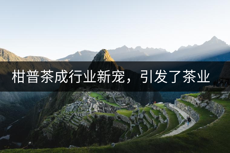 柑普茶成行業(yè)新寵，引發(fā)了茶業(yè)市場新的機(jī)遇與爆點(diǎn)