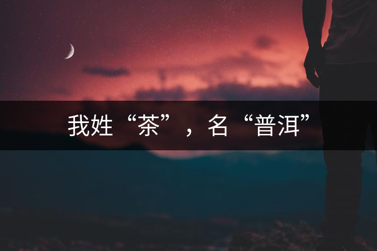 我姓“茶”，名“普洱”