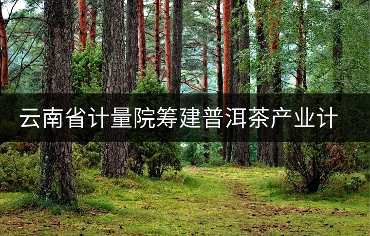 云南省計(jì)量院籌建普洱茶產(chǎn)業(yè)計(jì)量測試中心