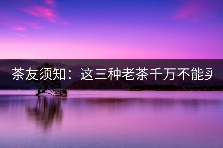 茶友須知：這三種老茶千萬不能買！
