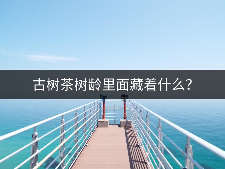 古樹茶樹齡里面藏著什么？