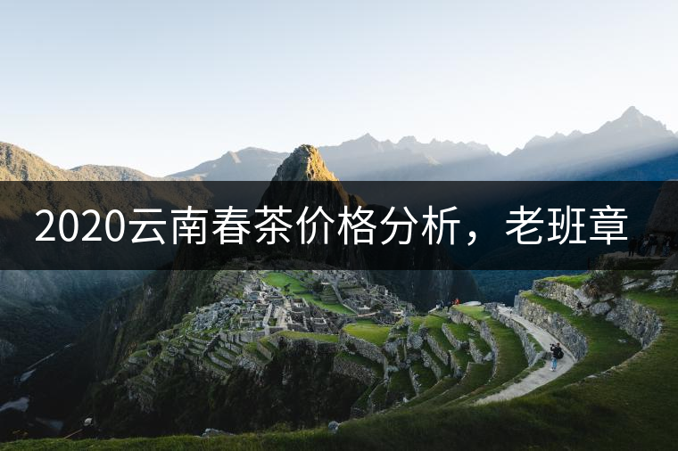 2020云南春茶價(jià)格分析，老班章依然將獨(dú)占鰲頭？