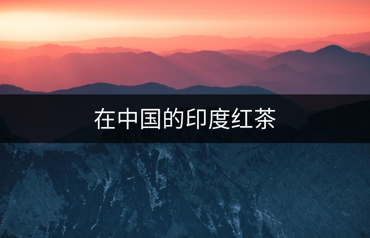 在中國的印度紅茶 在中國的印度紅茶