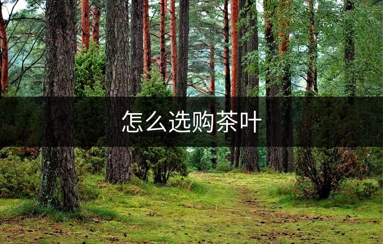 怎么選購(gòu)茶葉 怎么選購(gòu)茶葉