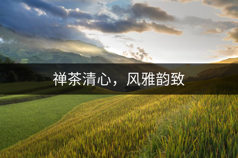 禪茶清心，風雅韻致
